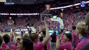 Gojays GIF by Creighton University Athletics