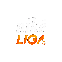 Logo Sticker by Nike liga
