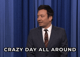 Jimmy Fallon GIF by The Tonight Show Starring Jimmy Fallon