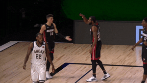 Nba Playoffs Sport GIF by NBA