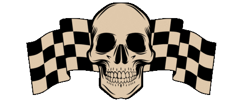 Racing Skull Sticker by kingmonster