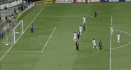 soccer mls GIF by D.C. United