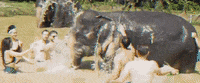 NowOrNeverTrips nowornevertrips GIF