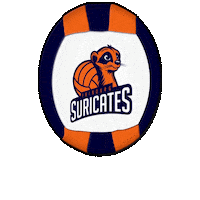 Ball Sticker by Swiss Dodgeball