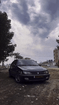 Persiiabaz GIF