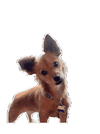 Miss U How Are You Sticker by Breathing Room