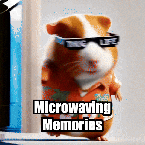 GIF by Guinea Gambino