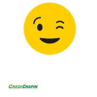 CrediChapin ok si guatemala simon Sticker