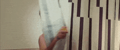 League Of Legends Lol GIF by G2 Esports