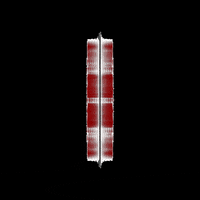 pizzapura pp pizzapura slicesfullofhappiness pizza pura GIF
