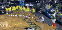 ncaasports ncaa volleyball oregon ducks GIF