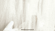 Mood Reaction GIF by Kwanza Jones
