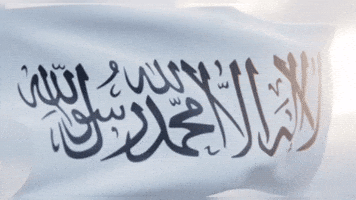 Flag Wind GIF