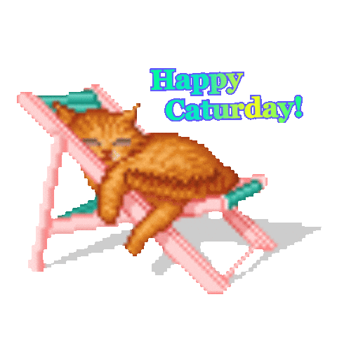 janellegiese happy caturday Sticker