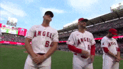 Los Angeles Angels Sport GIF by MLB