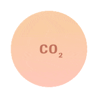 officialroche nature world together sustainability Sticker