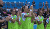 Sandiegowave GIF by National Women's Soccer League