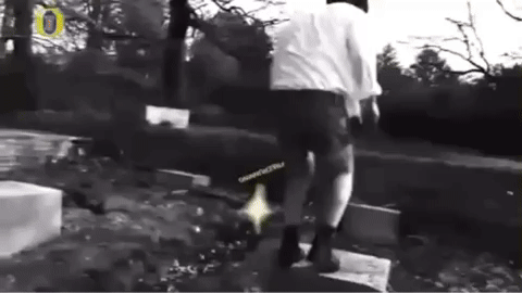 Matt110725 parkour bob mortimer free running vic reeves GIF