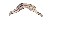 Jump Sprung Sticker by Max Ernst Museum