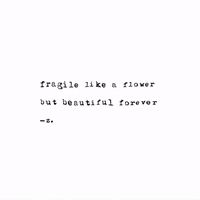 zetapoetry love beauty flower z GIF