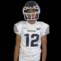 PanterasPuebla football flag puebla americano GIF