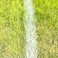 Turf_Tank robot technology paint lines GIF