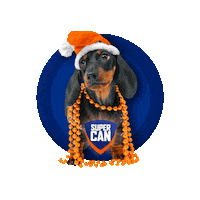 supercan_peru dog navidad perro celebracion Sticker