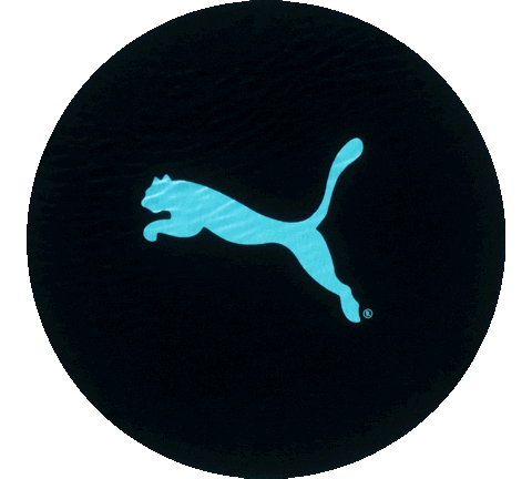 Swim Swimwear Sticker by stichd