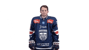 Celebration GIF by Fehervar AV19