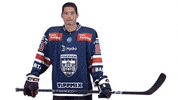Celebration GIF by Fehervar AV19