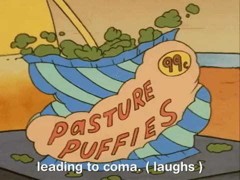rockos modern life nicksplat GIF