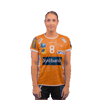 OdenseHaandbold orange handball handbold odense Sticker