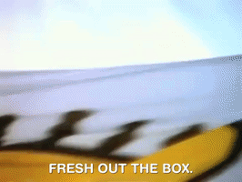 nickrewind nicksplat nickelodeon splat all that GIF