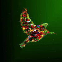 merry christmas GIF by KingfisherWorld