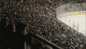 Fan Reaction Hockey GIF by Vancouver Canucks