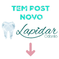 LapidarOdonto  Sticker