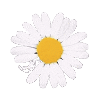 Peaceminusone Pmo Sticker