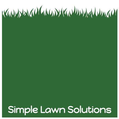 Edgework GIF by Simple Lawn Solutions