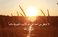 islamic art sun GIF