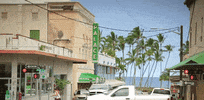 hawaii GIF