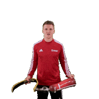 Happy Victory Sticker by Team Danmark