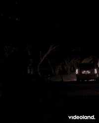 Thomas Van Der Vlugt Bachelor GIF by Videoland