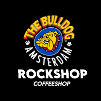 Thebulldog GIF by The Bulldog Amsterdam