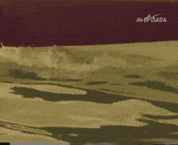 Summer Driving GIF