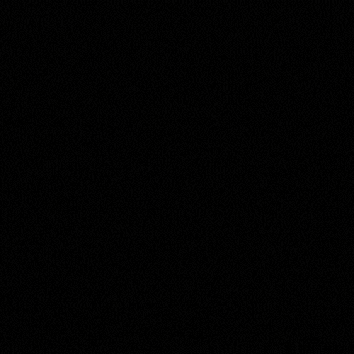 Timisoara2023 GIF by Timisoara European Capital of Culture