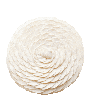 Flower Paris Sticker by Cedric Grolet