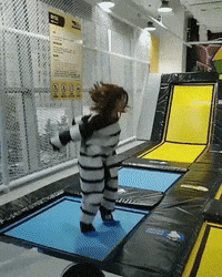 madmoizelledotcom  GIF