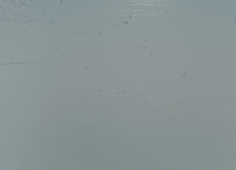 Loop Water GIF by louismor