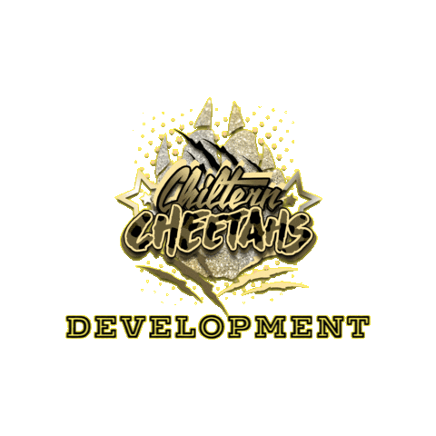 Development Cheerleading Sticker by Chiltern Cheetahs