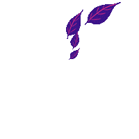 Summer Feuille Sticker